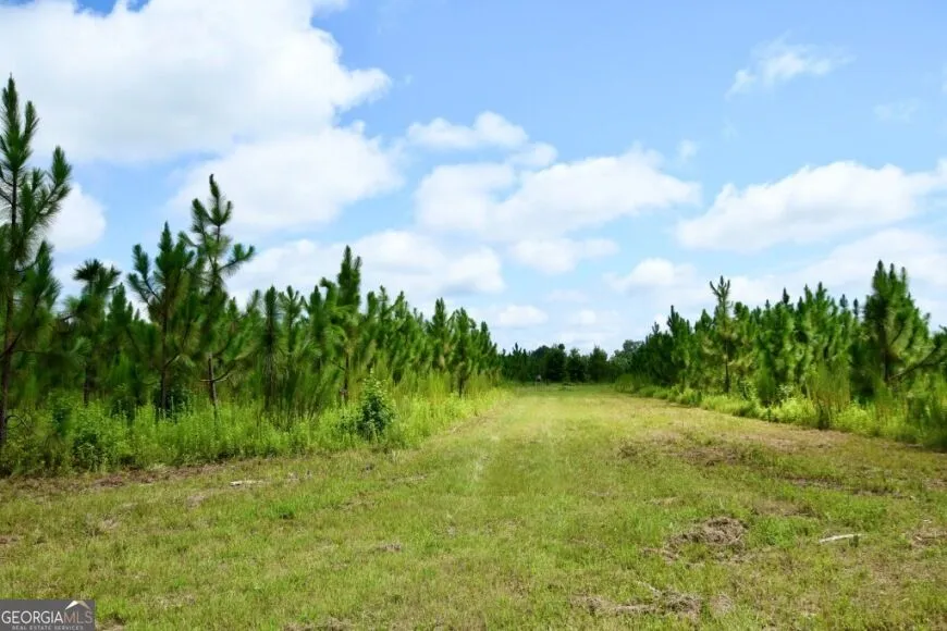 0 Highway 25 S Waynesboro, GA 30830