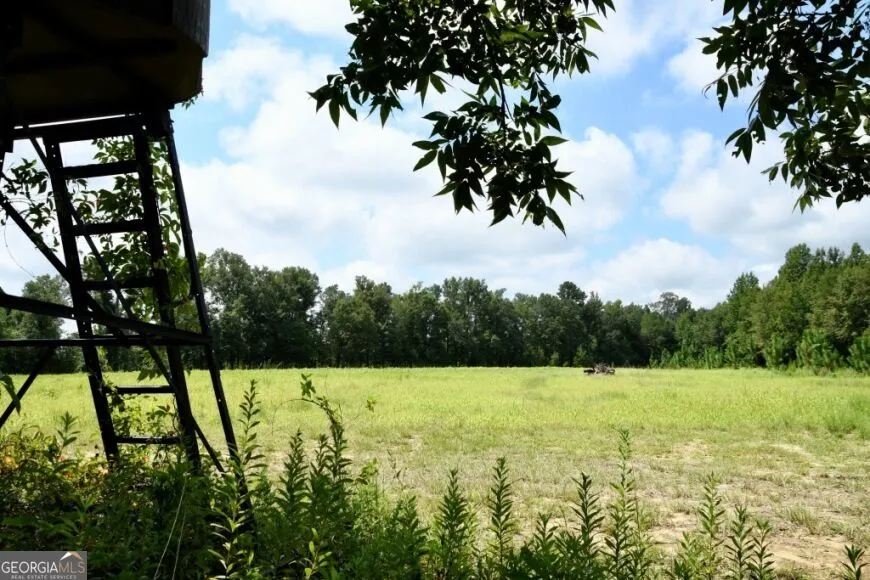 0 Highway 25 S Waynesboro, GA 30830