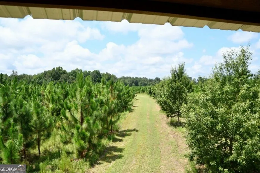 0 Highway 25 S Waynesboro, GA 30830