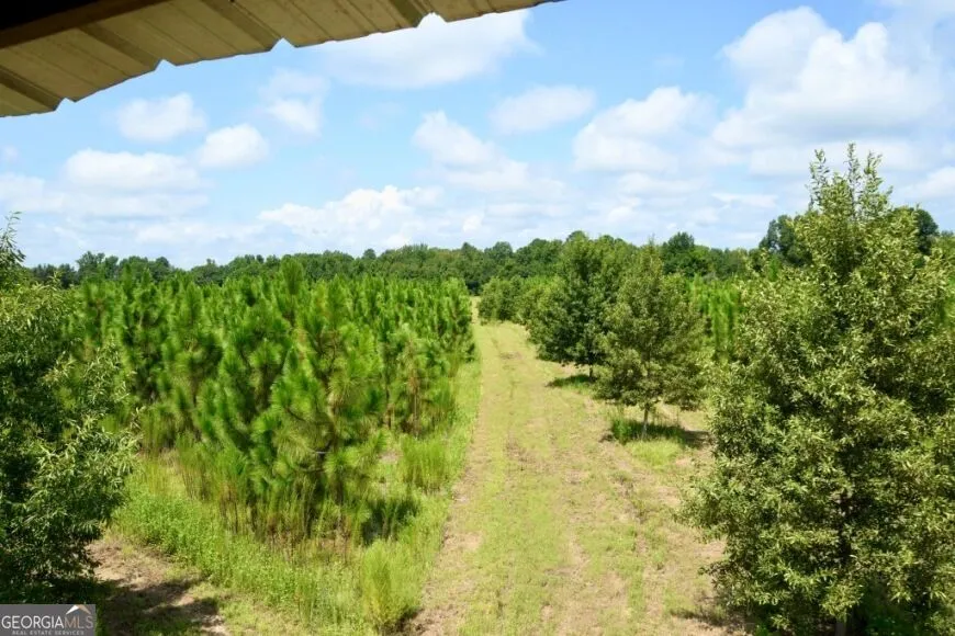 0 Highway 25 S Waynesboro, GA 30830