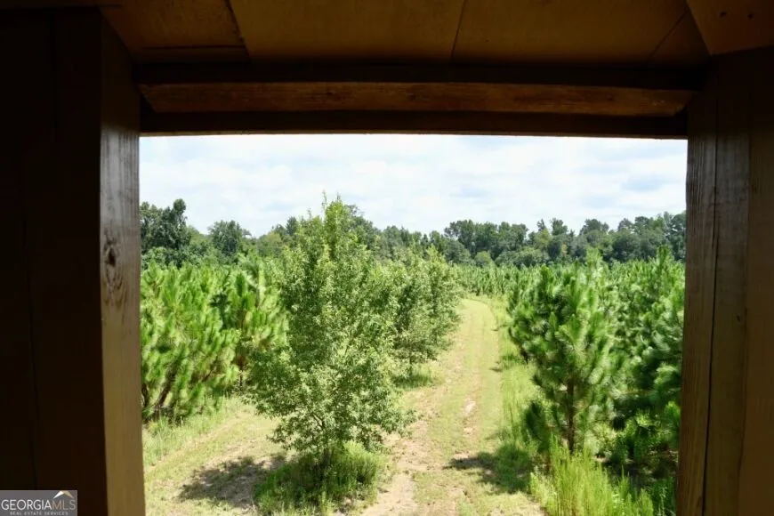 0 Highway 25 S Waynesboro, GA 30830