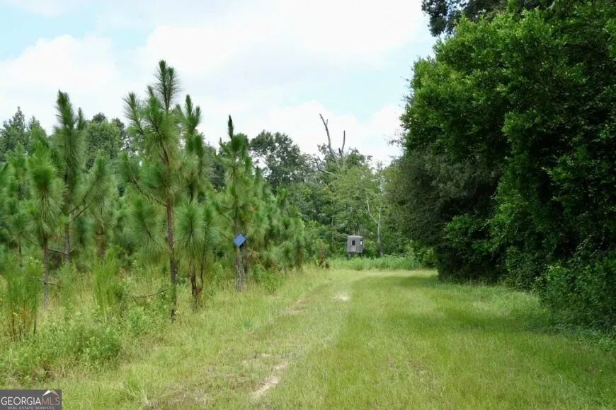0 Highway 25 S Waynesboro, GA 30830