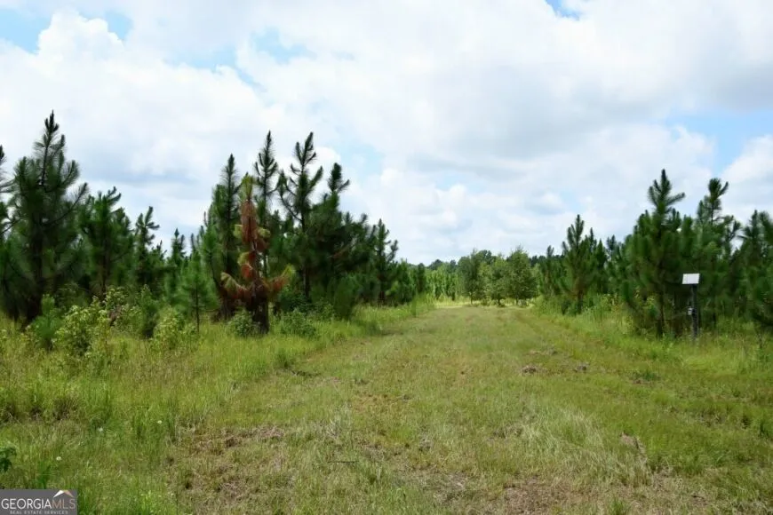 0 Highway 25 S Waynesboro, GA 30830