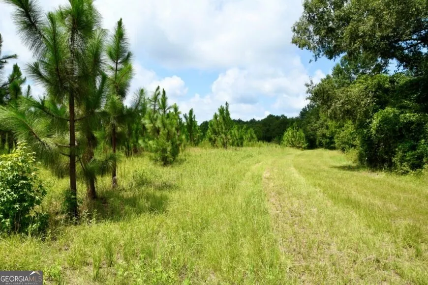 0 Highway 25 S Waynesboro, GA 30830