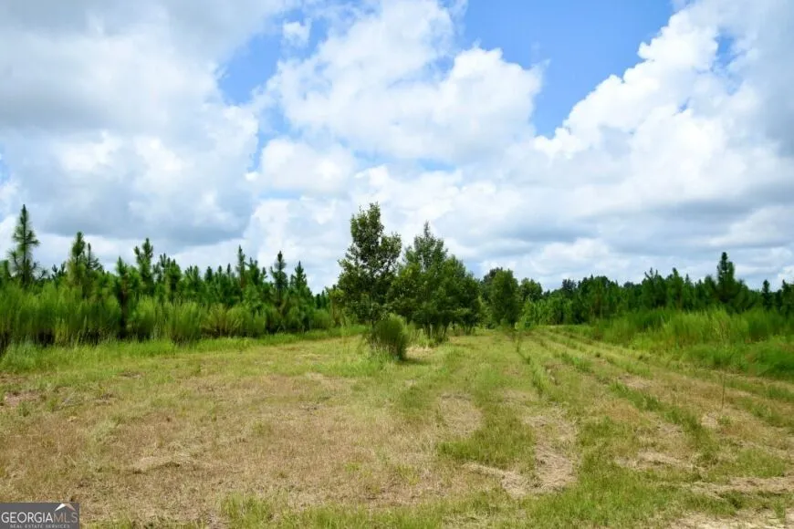 0 Highway 25 S Waynesboro, GA 30830