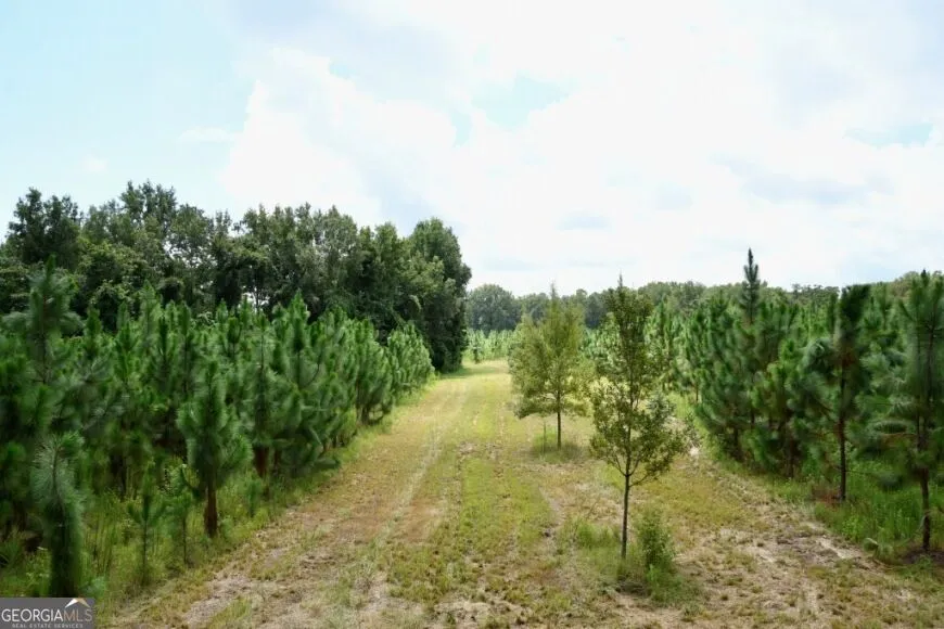 0 Highway 25 S Waynesboro, GA 30830