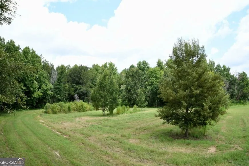 0 Highway 25 S Waynesboro, GA 30830