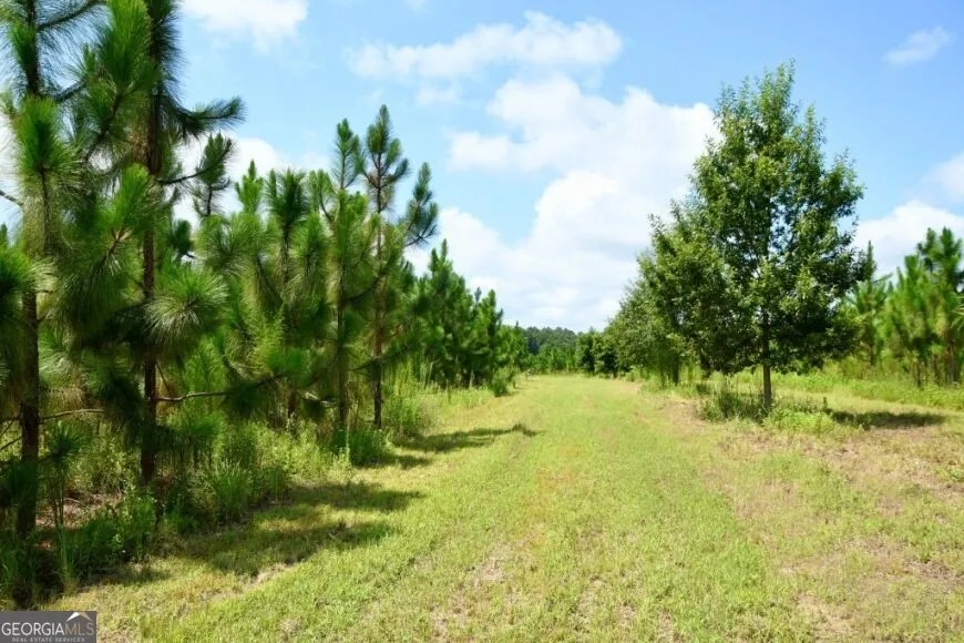 0 Highway 25 S Waynesboro, GA 30830