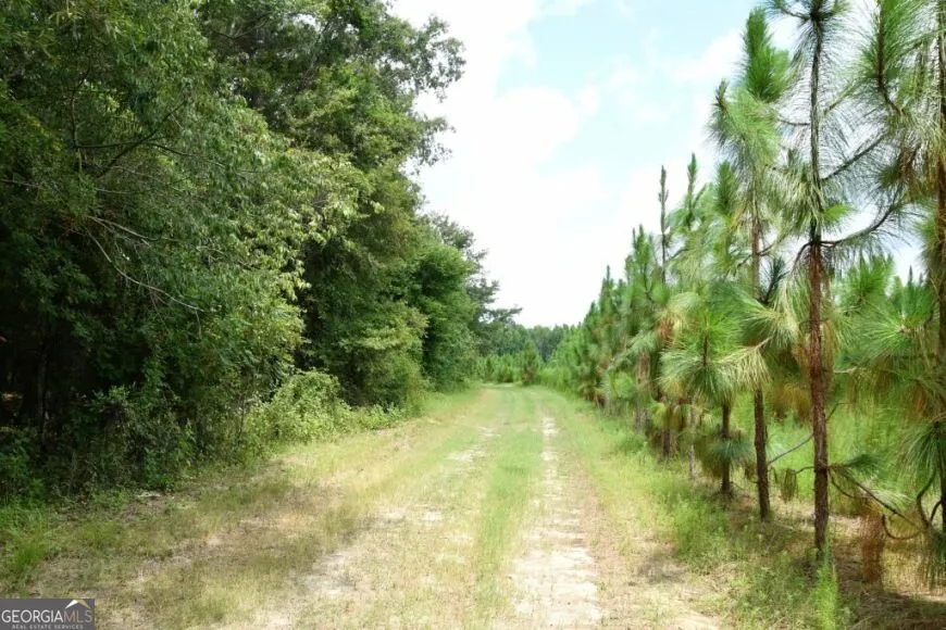 0 Highway 25 S Waynesboro, GA 30830