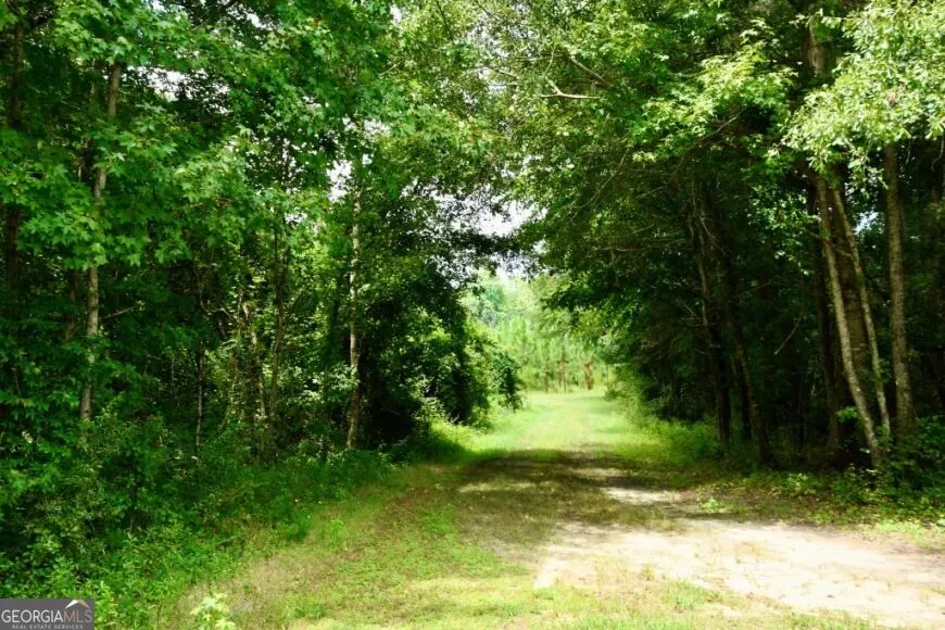 0 Highway 25 S Waynesboro, GA 30830