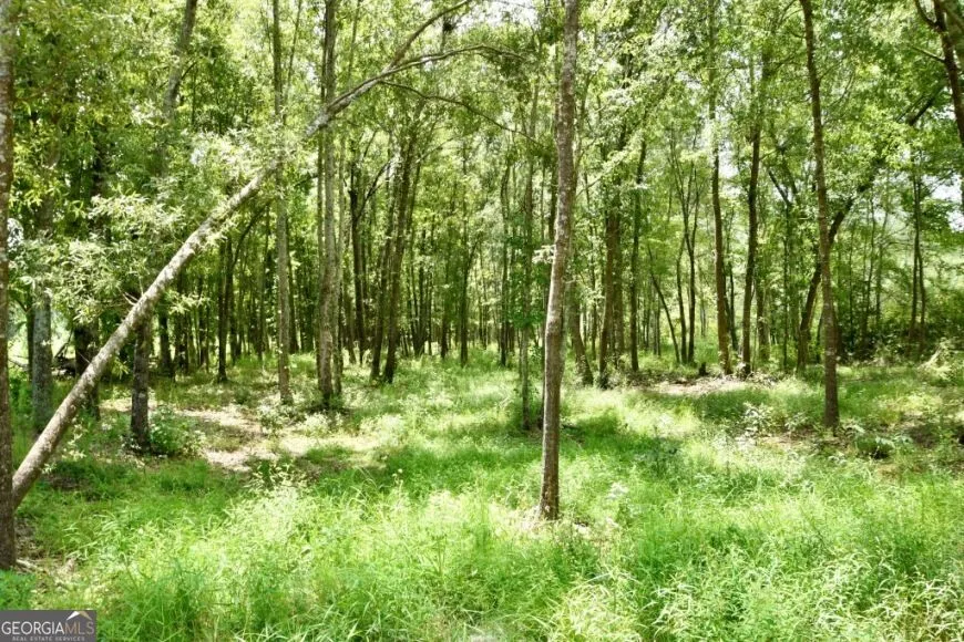 0 Highway 25 S Waynesboro, GA 30830