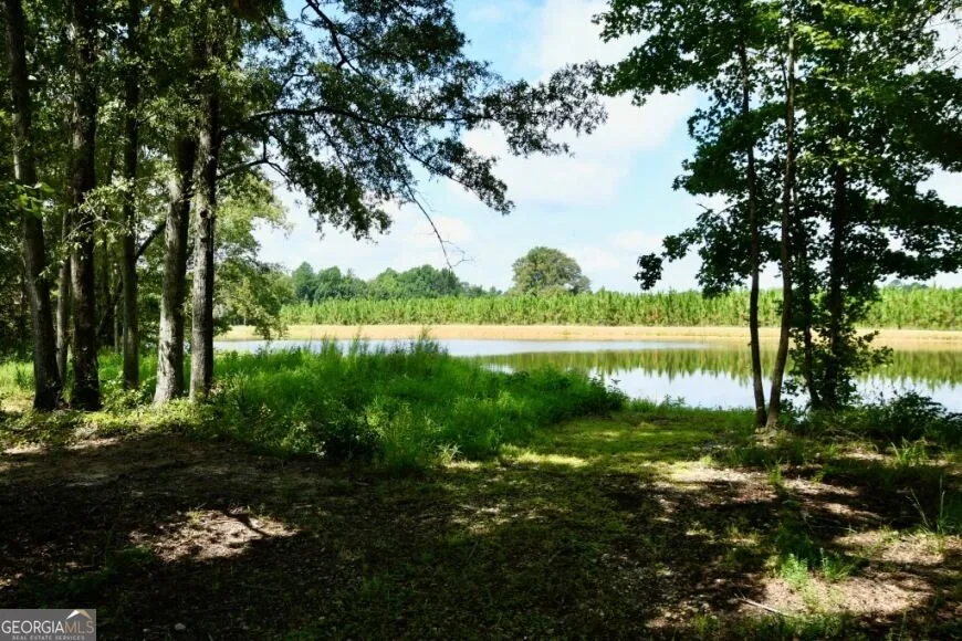 0 Highway 25 S Waynesboro, GA 30830