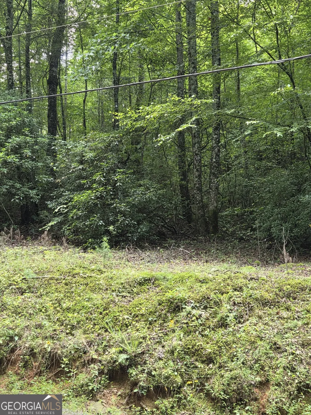 0 Chopped Oak Ellijay, GA 30540