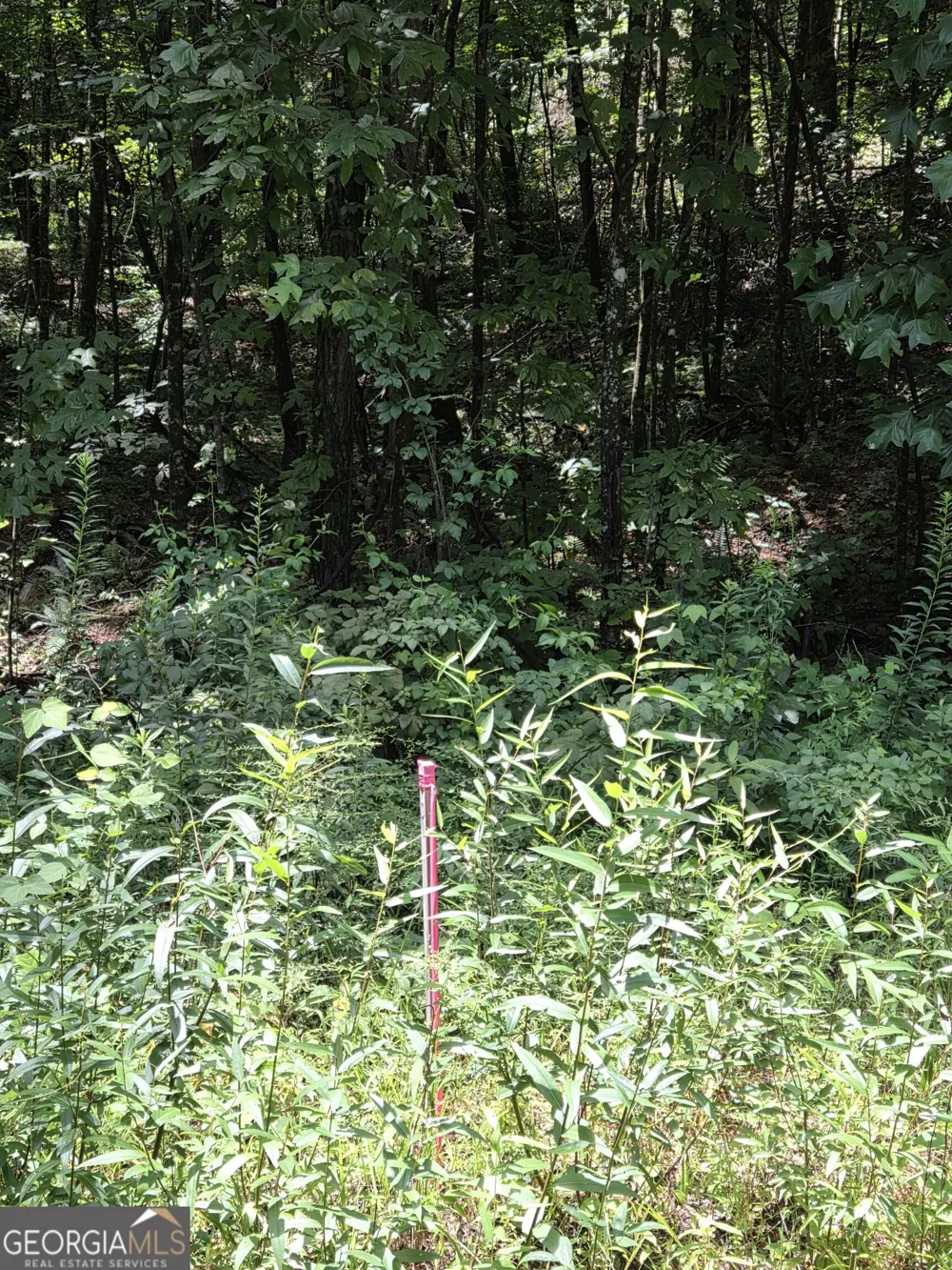 0 Chopped Oak Ellijay, GA 30540