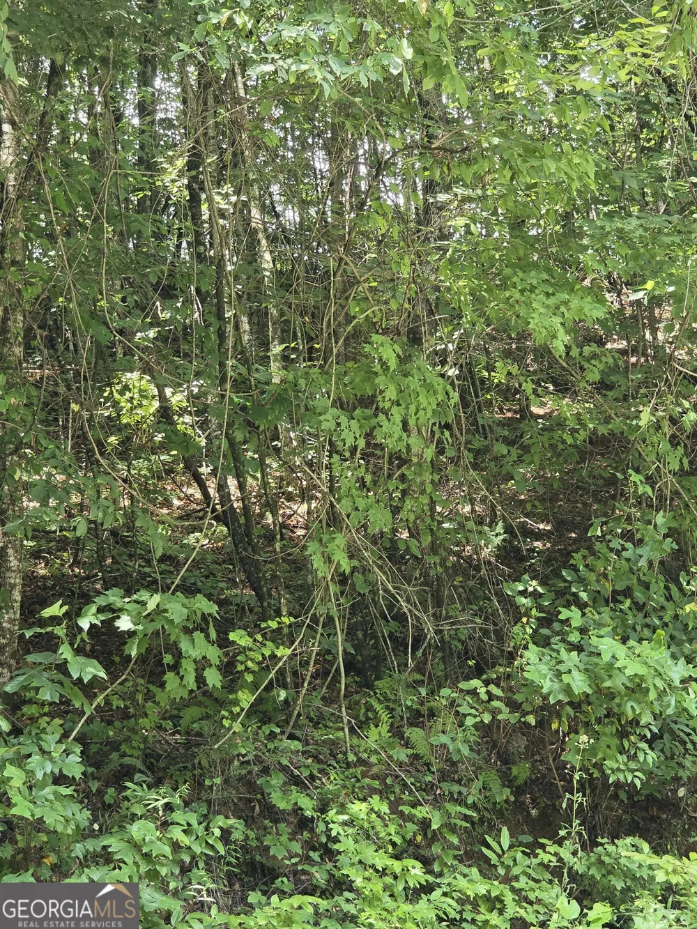 0 Chopped Oak Ellijay, GA 30540