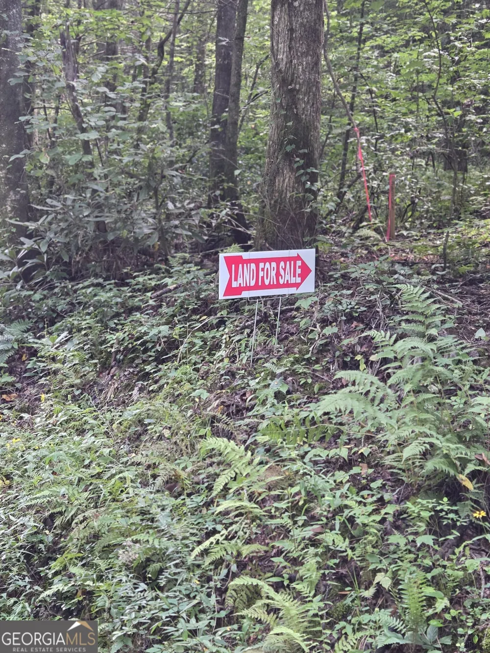 0 Chopped Oak Ellijay, GA 30540