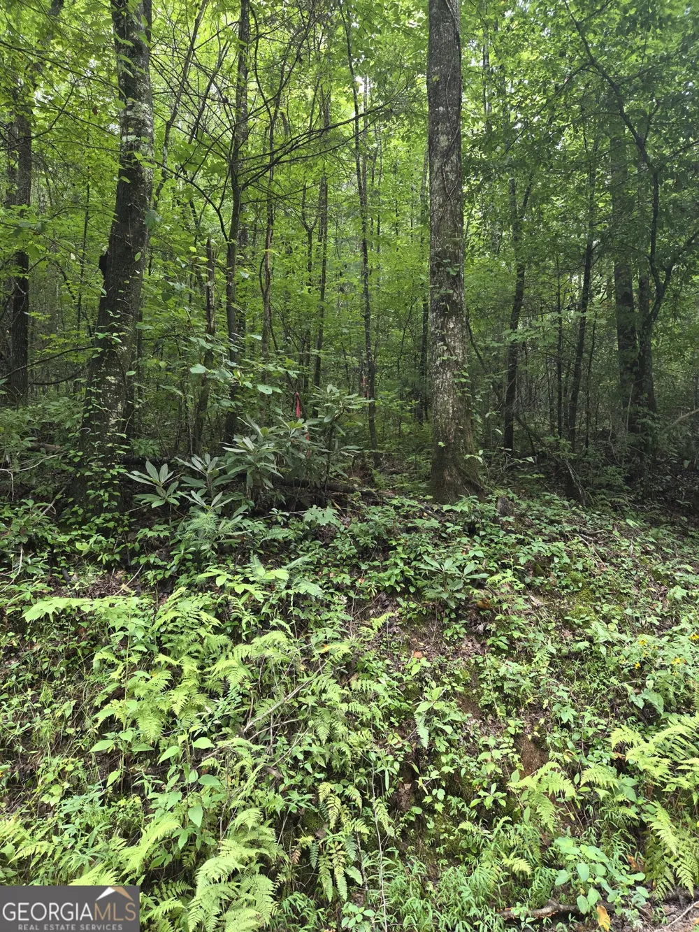 0 Chopped Oak Ellijay, GA 30540