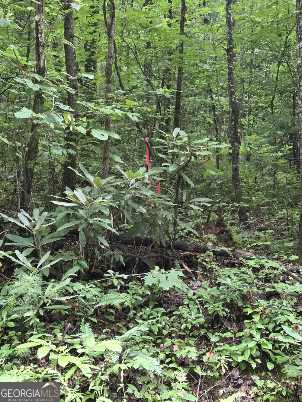 0 Chopped Oak Ellijay, GA 30540
