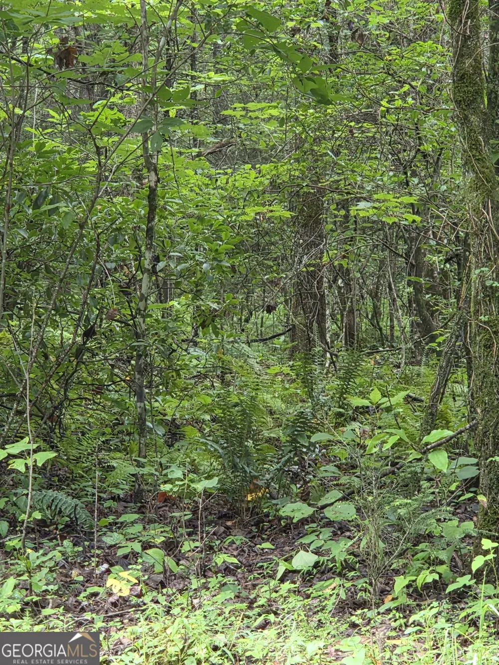 0 Chopped Oak Ellijay, GA 30540