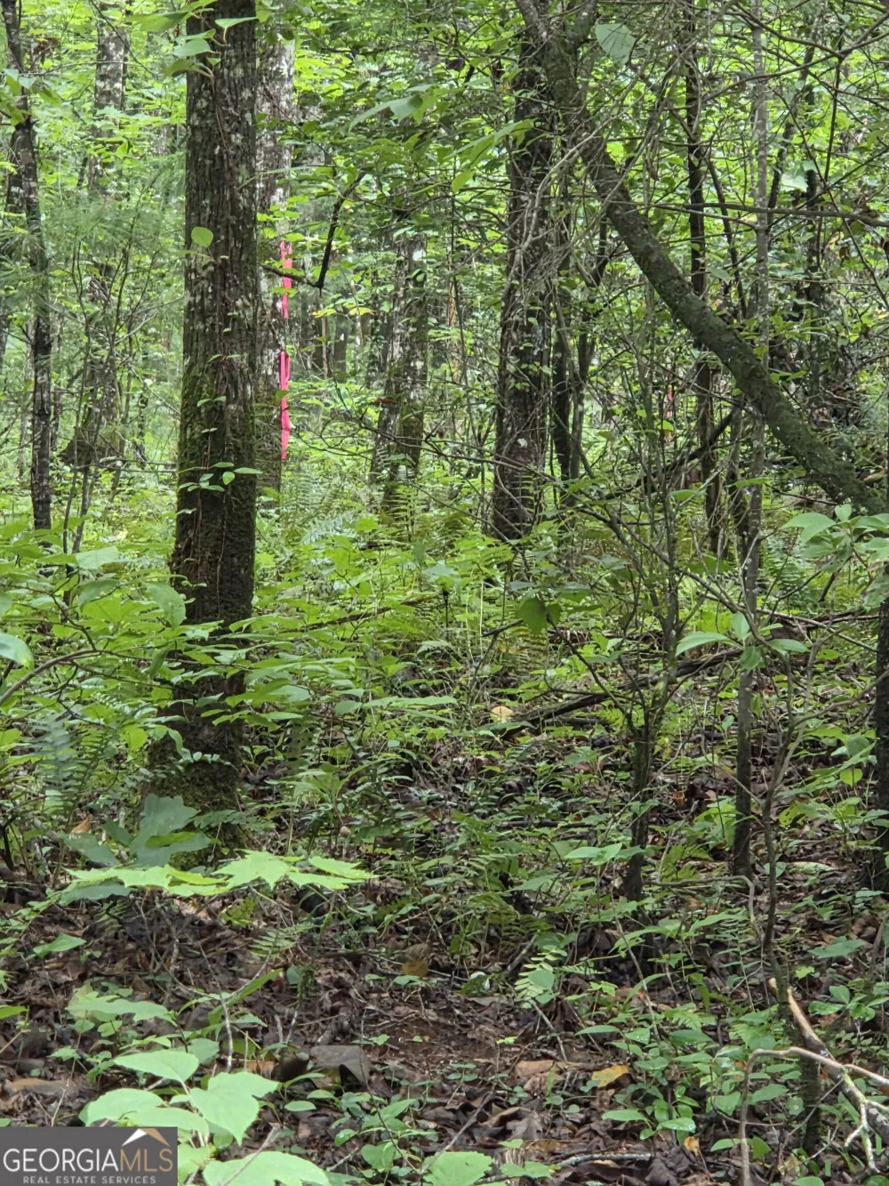 0 Chopped Oak Ellijay, GA 30540