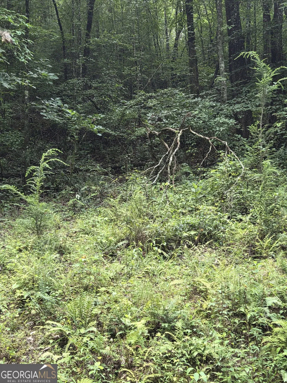 0 Chopped Oak Ellijay, GA 30540