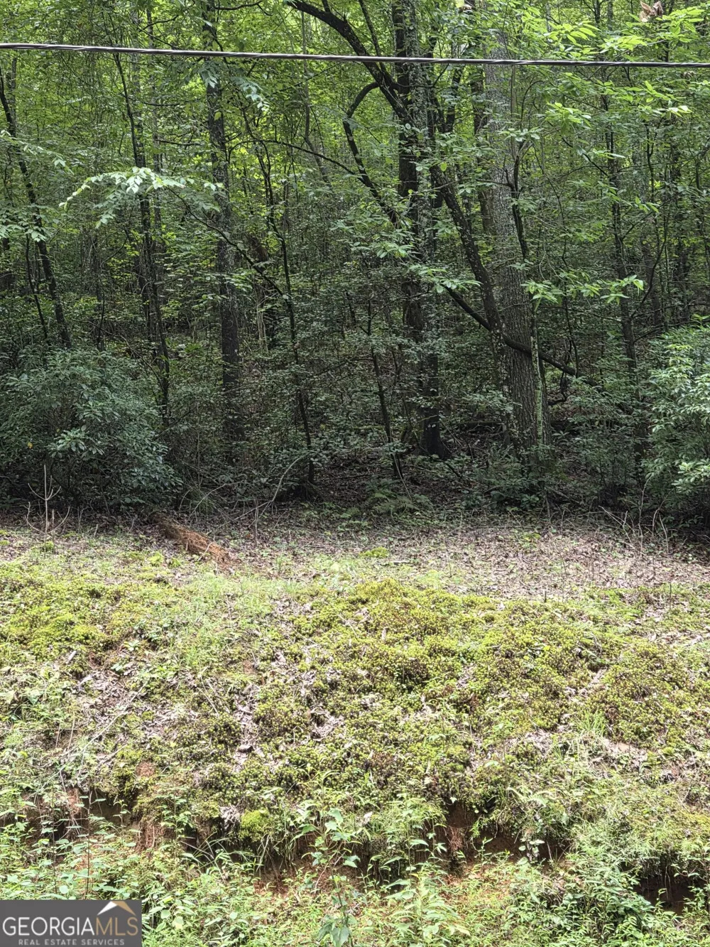 0 Chopped Oak Ellijay, GA 30540