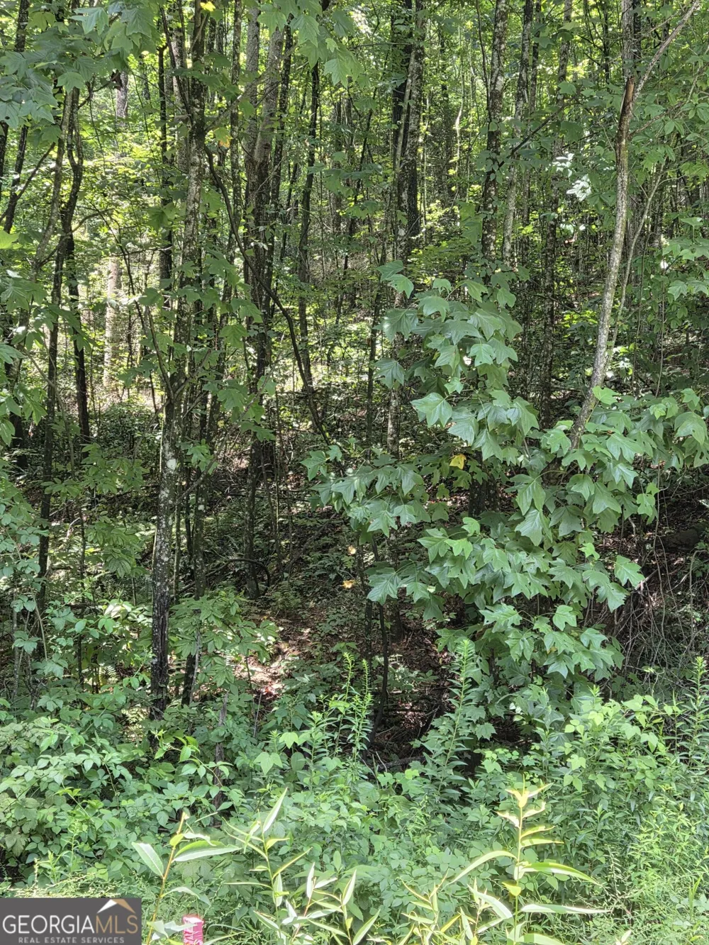0 Chopped Oak Ellijay, GA 30540