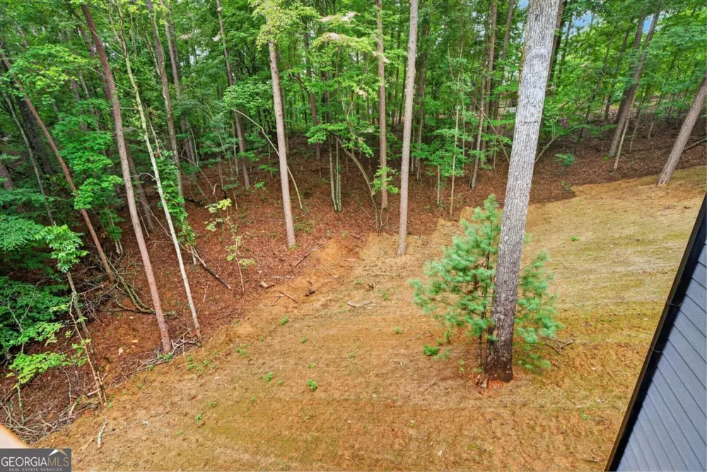 579 Julep CT Ellijay, GA 30540