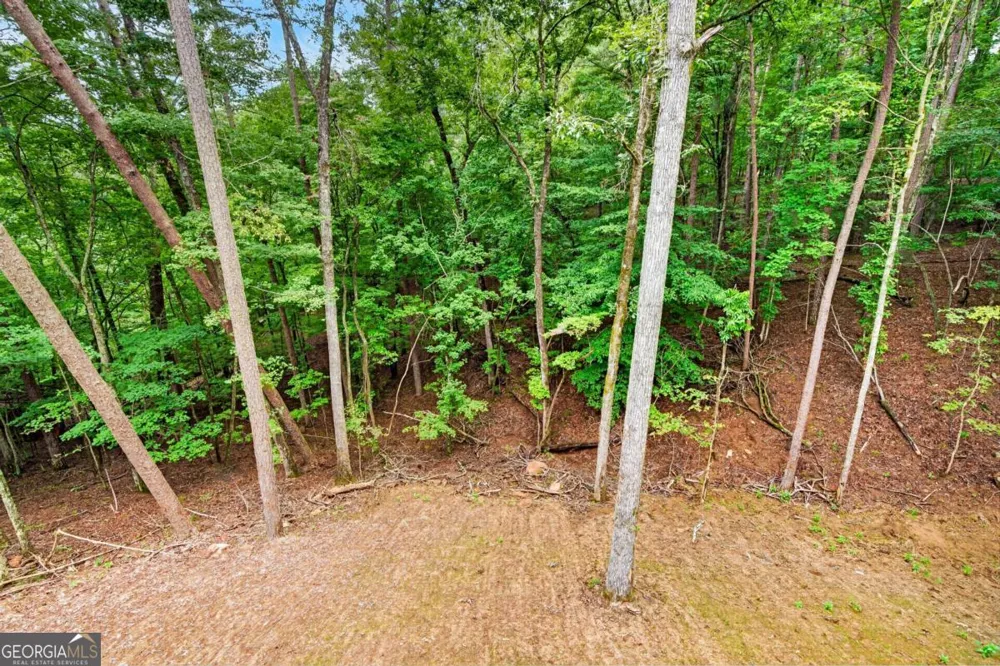 579 Julep CT Ellijay, GA 30540