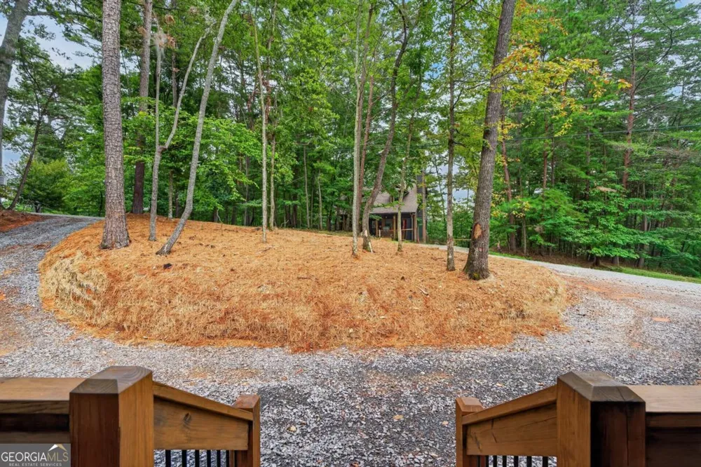 579 Julep CT Ellijay, GA 30540