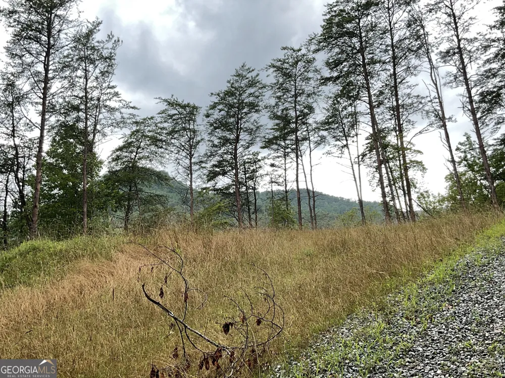 675 Big Creek RD Otto, NC 28763