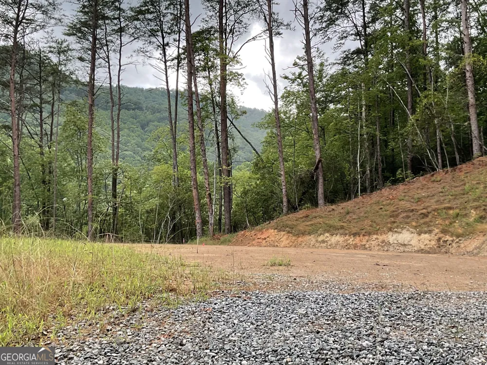 675 Big Creek RD Otto, NC 28763