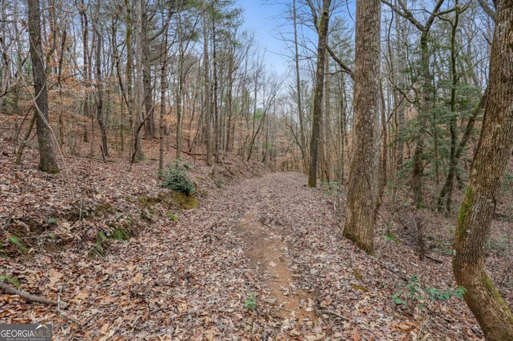 0 Timberland DR Ellijay, GA 30540