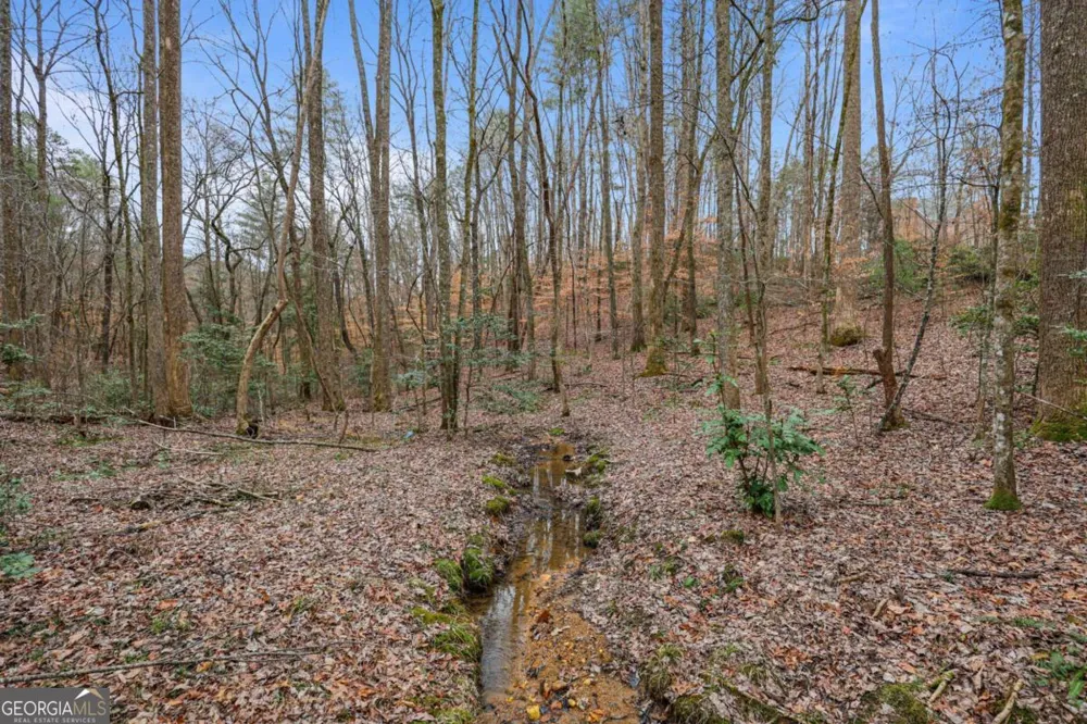 0 Timberland DR Ellijay, GA 30540