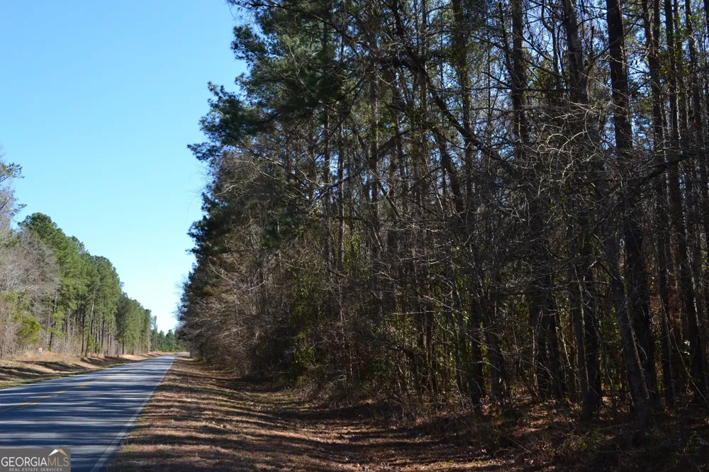 0 Mark Wood RD Dexter, GA 31019