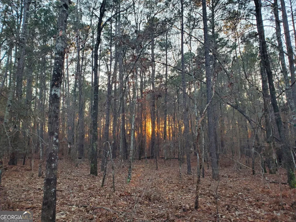 0 Mark Wood RD Dexter, GA 31019