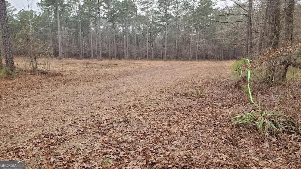 0 Mark Wood RD Dexter, GA 31019