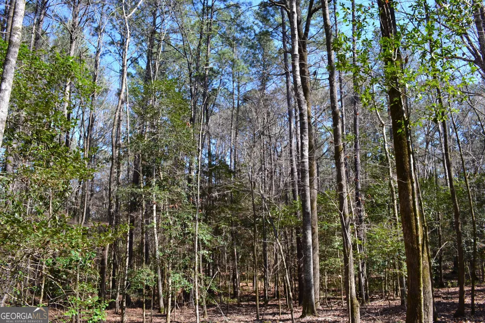 0 Mark Wood RD Dexter, GA 31019