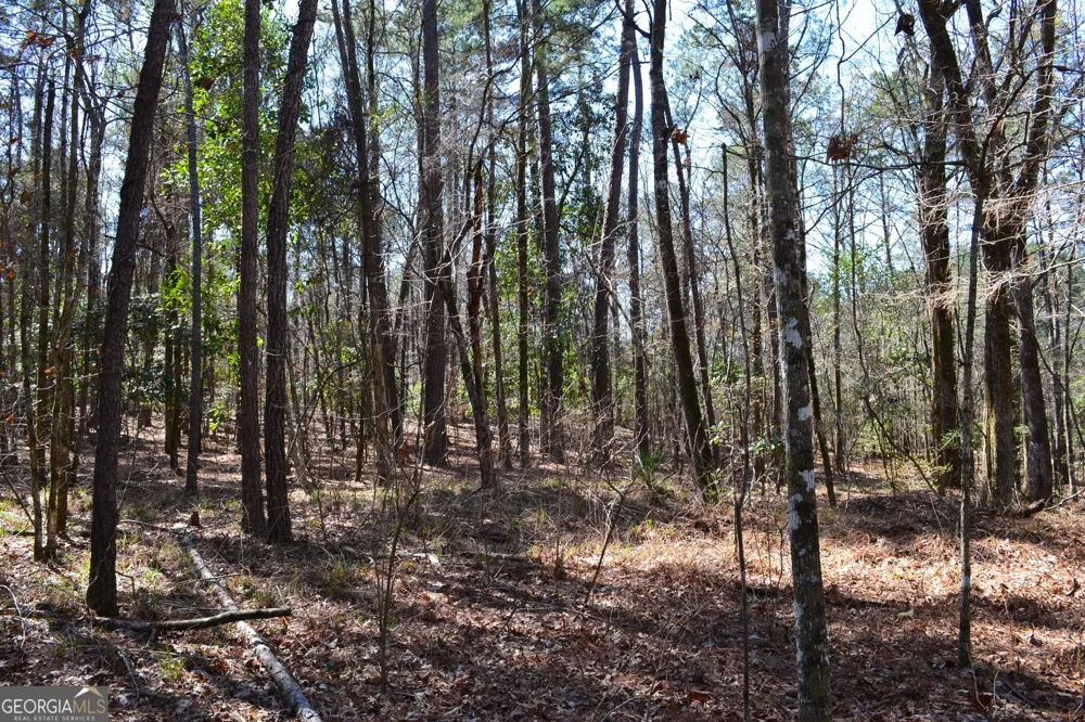 0 Mark Wood RD Dexter, GA 31019