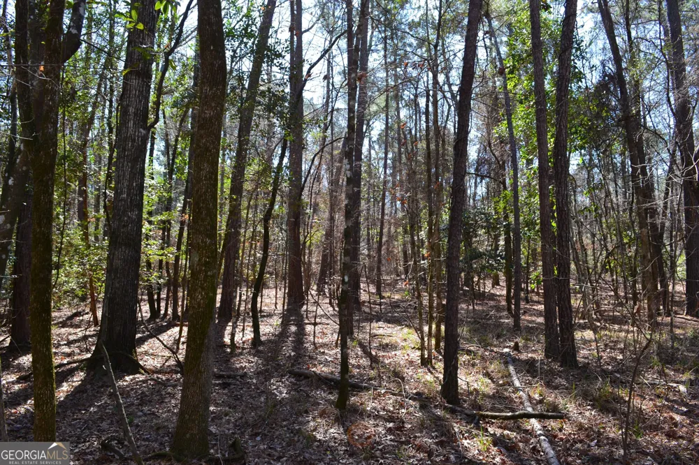 0 Mark Wood RD Dexter, GA 31019