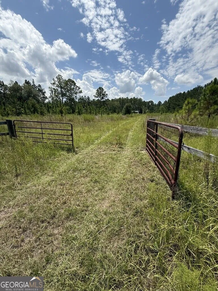 896 Farm RD St. George, GA 31562