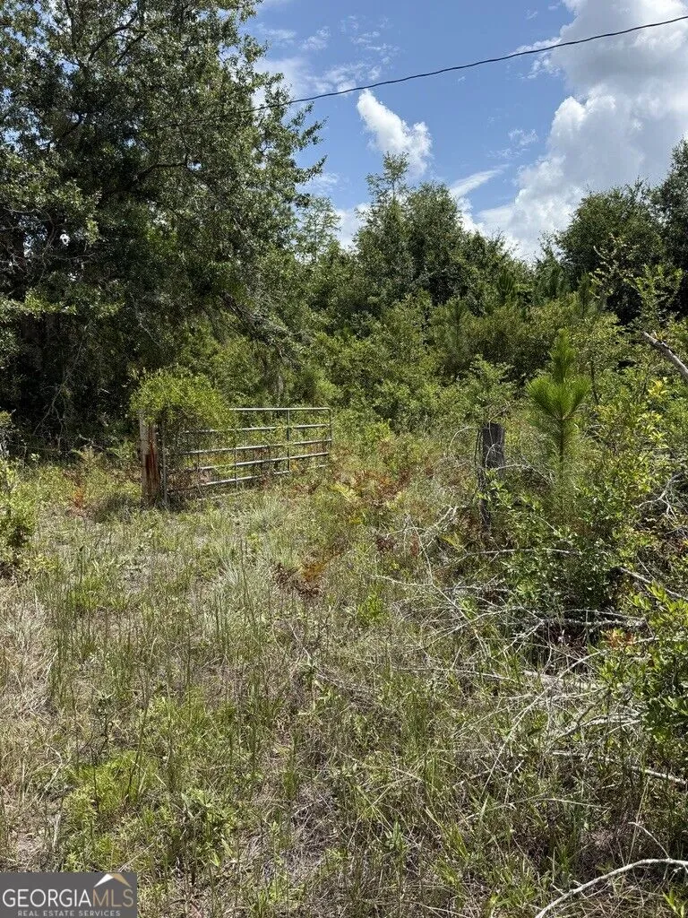 896 Farm RD St. George, GA 31562
