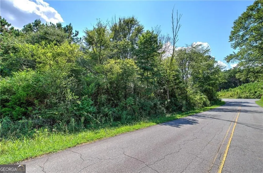 0 Crowe Springs Spur Adairsville, GA 30103