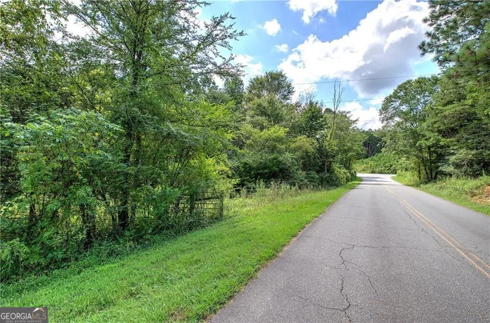 0 Crowe Springs Spur Adairsville, GA 30103