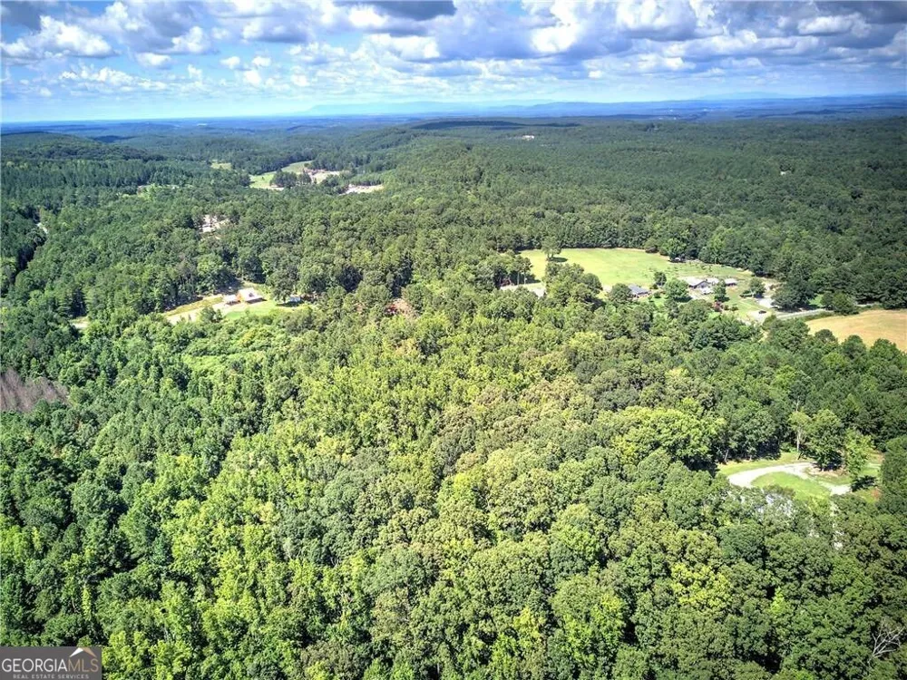 0 Crowe Springs Spur Adairsville, GA 30103