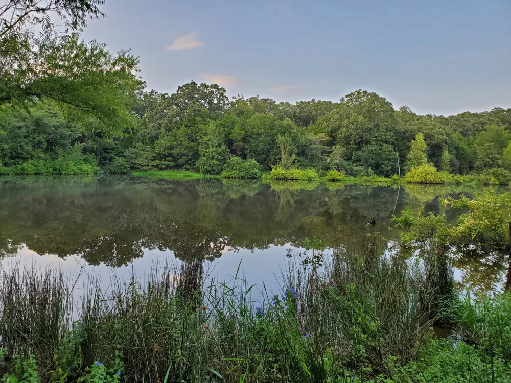 940 County Road 1106 E Sulphur Springs, TX 75482