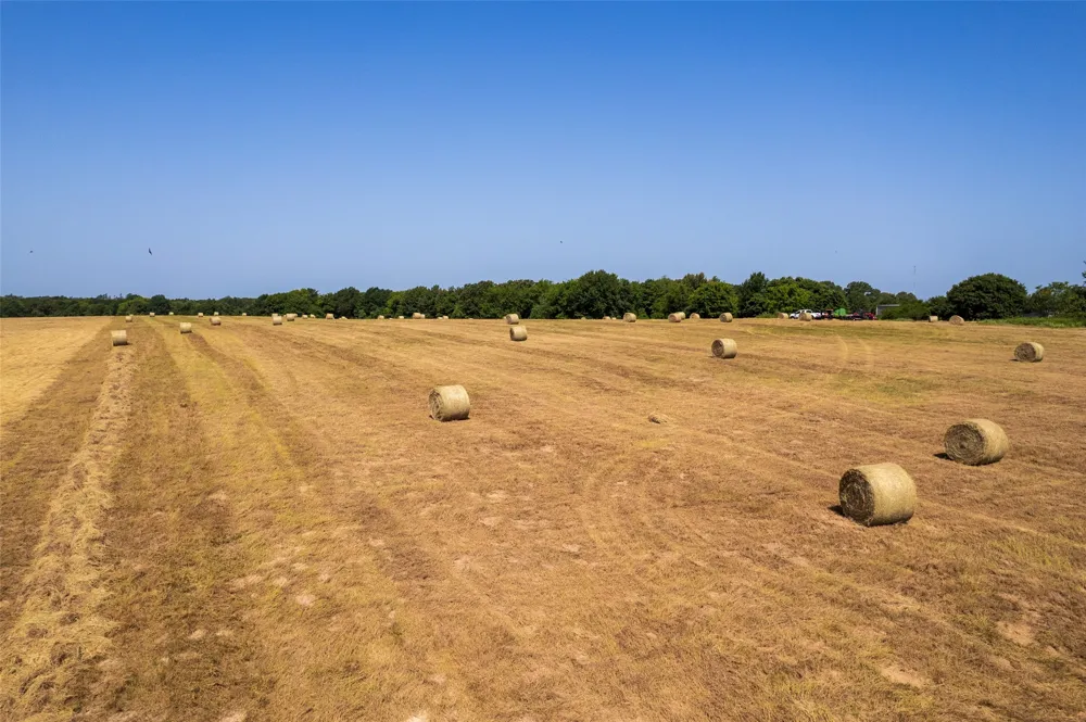 940 County Road 1106 E Sulphur Springs, TX 75482