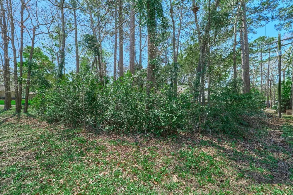 168 Mid Pines Drive Conroe, TX 77304