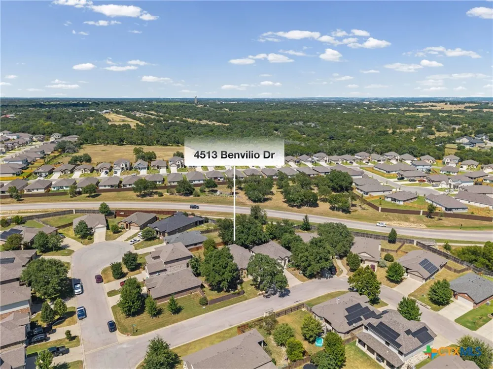 4513 Benvilio Drive Belton, TX 76513