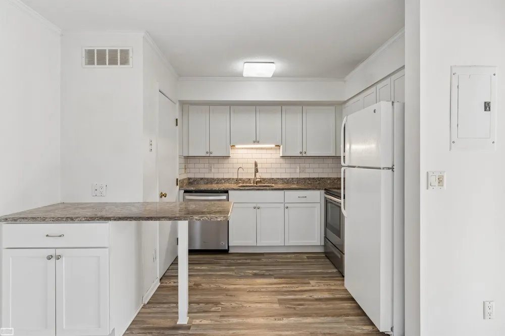 38665 Bayside Ct Court Clinton Charter Township, MI 48038